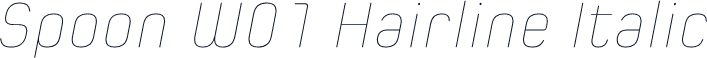 Spoon W01 Hairline Italic