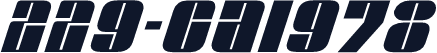 229-CAI978