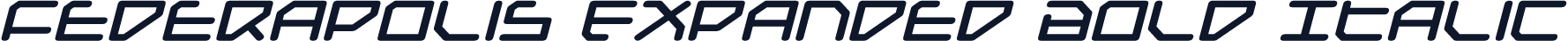 Federapolis Expanded Bold Italic