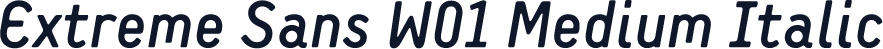 Extreme Sans W01 Medium Italic