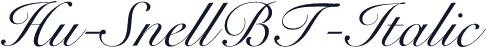 Hu-SnellBT-Italic