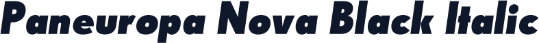 Paneuropa Nova Black Italic