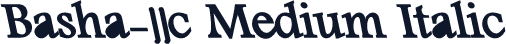 Basha-11c Medium Italic