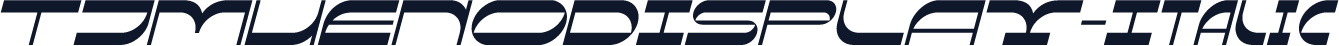 TJMUENODISPLAY-Italic