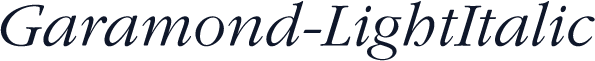 Garamond-LightItalic