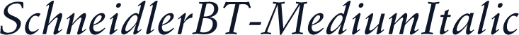 SchneidlerBT-MediumItalic