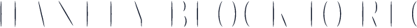 Hanley Block IO Reg