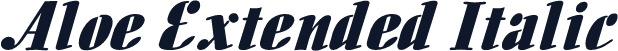 Aloe Extended Italic