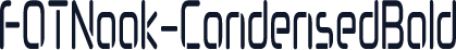 FOTNook-CondensedBold