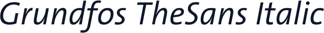Grundfos TheSans Italic