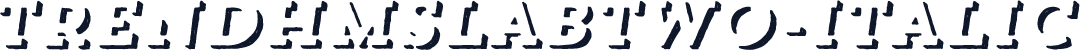 TrendHMSlabTwo-Italic