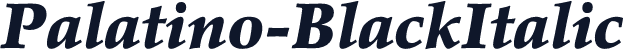 Palatino-BlackItalic