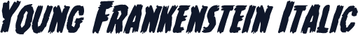 Young Frankenstein Italic