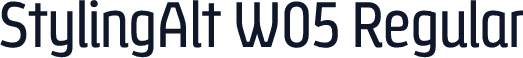 StylingAlt W05 Regular