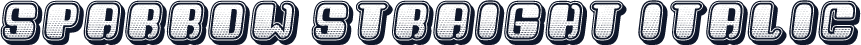 Sparrow Straight Italic