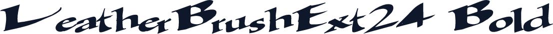 LeatherBrushExt24 Bold