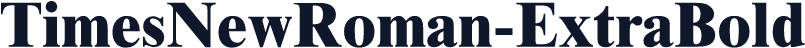 TimesNewRoman-ExtraBold