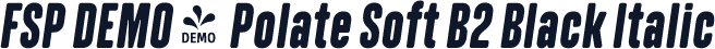 FSP DEMO - Polate Soft B2 Black Italic