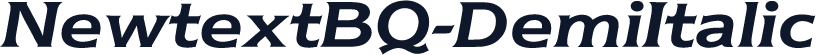 NewtextBQ-DemiItalic