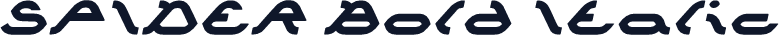 SPIDER Bold Italic