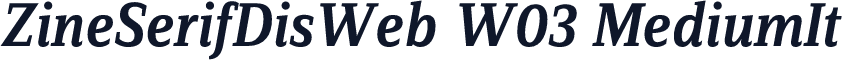 ZineSerifDisWeb W03 MediumIt