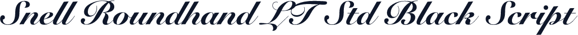 Snell Roundhand LT Std Black Script