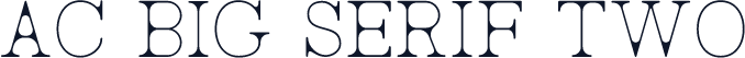 AC Big Serif Two