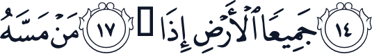 QCF_P569
