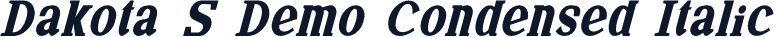 Dakota S Demo Condensed Italic