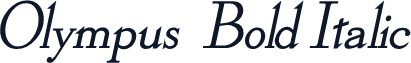 Olympus  Bold Italic