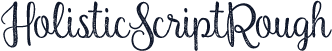 HolisticScriptRough
