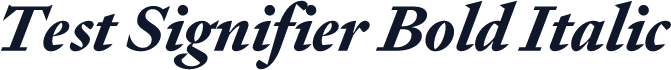 Test Signifier Bold Italic