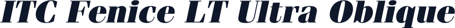 ITC Fenice LT Ultra Oblique