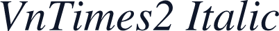 VnTimes2 Italic
