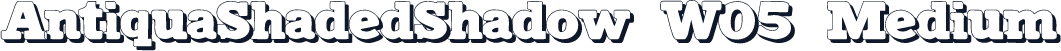 AntiquaShadedShadow W05 Medium