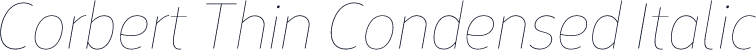 Corbert Thin Condensed Italic