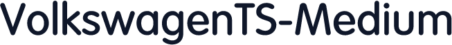 VolkswagenTS-Medium