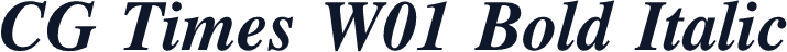 CG Times W01 Bold Italic