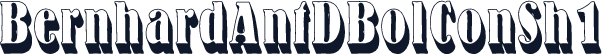 BernhardAntDBolConSh1