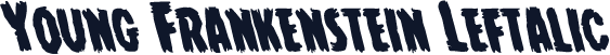 Young Frankenstein Leftalic
