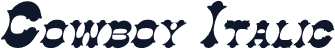 Cowboy Italic