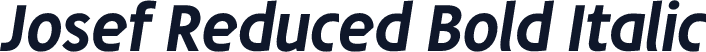 Josef Reduced Bold Italic