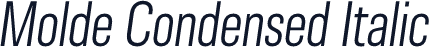 Molde Condensed Italic