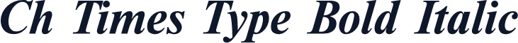 Ch Times Type Bold Italic