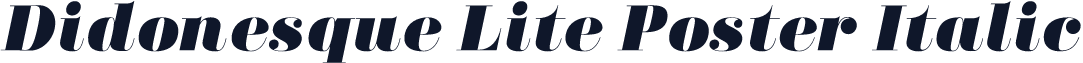 Didonesque Lite Poster Italic