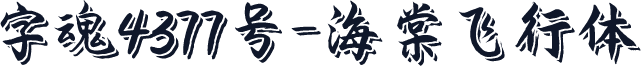 字魂4377号-海棠飞行体