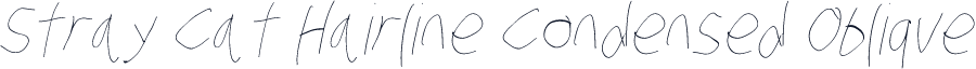 Stray Cat Hairline Condensed Oblique