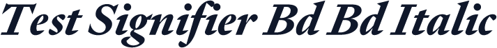 Test Signifier Bd Bd Italic