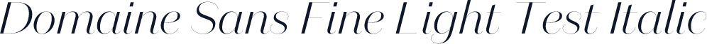 Domaine Sans Fine Light Test Italic