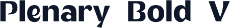 Plenary Bold V1